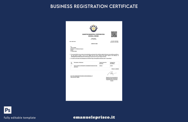 stile verificato Licenza commerciale India Gangtok Modello Word e PDF